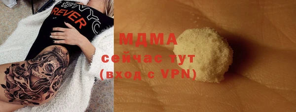 индика Арсеньев