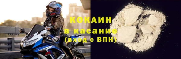индика Арсеньев