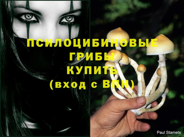 бутират Балабаново