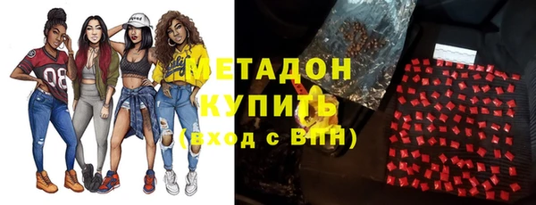 индика Арсеньев
