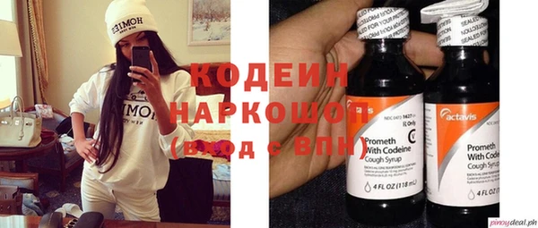 индика Арсеньев